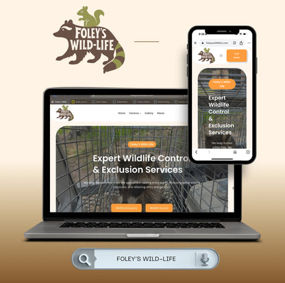 Web Design
